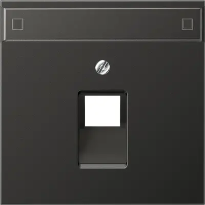 JUNG Centraalplaat UAE/IAE Antracie (AL 2969-1 NAUA AN)