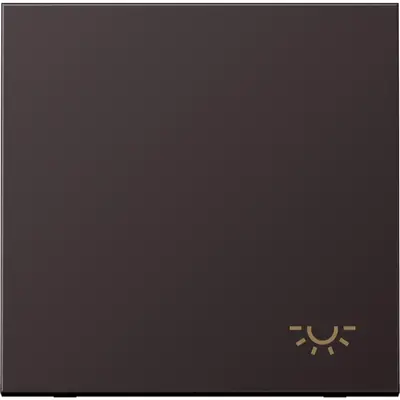 JUNG schakelwip met lichtsymbool LS990 dark gelakt aluminium (AL 2990 L D)