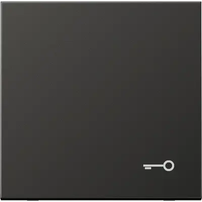 JUNG schakelwip met sleutelsymbool LS990 antraciet gelakt aluminium (AL 2990 T AN)
