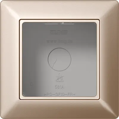 JUNG opbouwbak 1-voudig A-range champagne (AS 581 A CH)