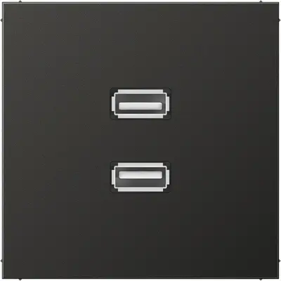 JUNG centraalplaat met draagring en 2 x USB-A naar USB-A koppeling LS990 antraciet gelakt aluminium (MA AL 1153 AN)