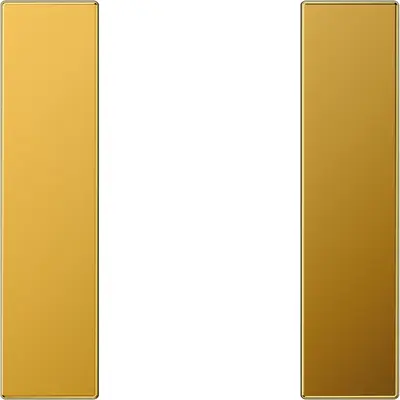 JUNG Enkele drukker Overig Goud (LS 501 TSA GGO)