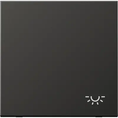 JUNG schakelwip met lichtsymbool LS990 antraciet gelakt aluminium (AL 2990 L AN)