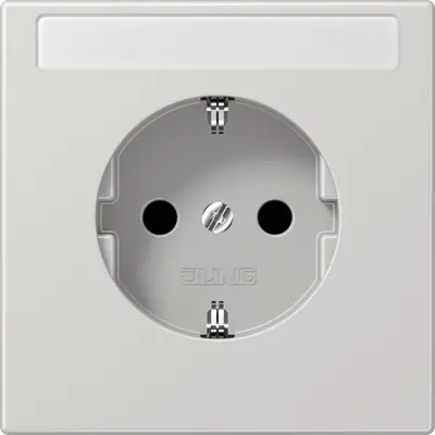 JUNG wandcontactdoos randaarde tekstvenster LS990 lichtgrijs (LS 1520 NNA LG)