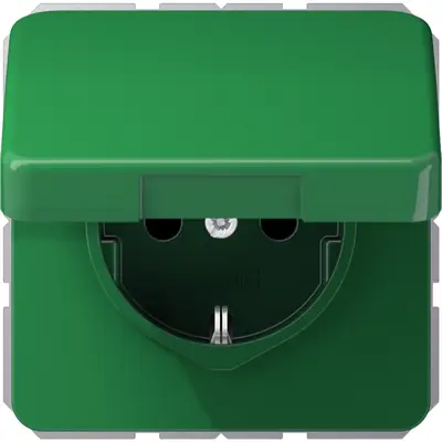 JUNG Wcd 1v Randaarde Inbouw (CD 1520 NBFKL GN)