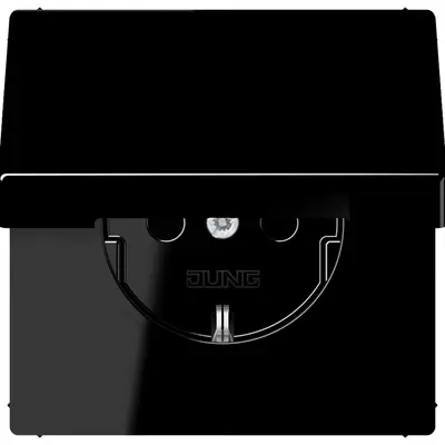 JUNG Wcd (LS 1520 KIKL SW)