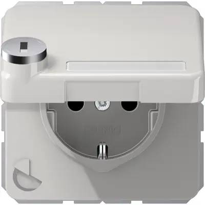 JUNG wandcontactdoos randaarde Safety+ klapdeksel tekstvenster slot CD500 lichtgrijs (CD 1520 NNAKLSL LG)