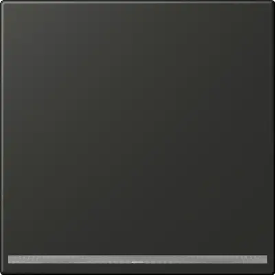 JUNG LED-orientatieverlichting zonder lichtsensor LS990 antraciet gelakt aluminium (AL 1539-OO AN LNW)