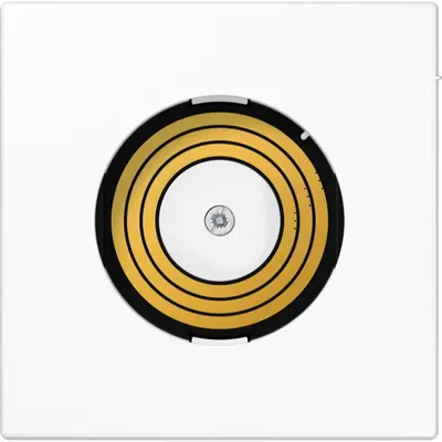 JUNG abdeckung p-l serie ls990 mit (PL LS DMS WW)