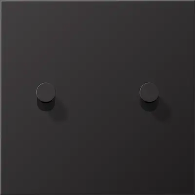 JUNG schakelwip 2-voudig kegel LS1912 dark gelakt aluminium (AL 12-5 D K 01)