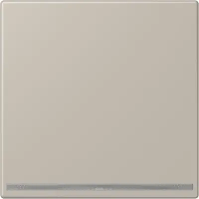 JUNG LED-orientatieverlichting zonder lichtsensor LS990 edelstaal (ES 1539-OO LNW)