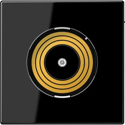 JUNG afdekking pl serie ls990 mit (PL LS DMS SW)