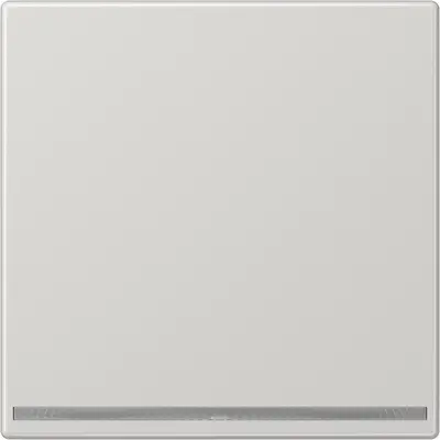 JUNG LED-orientatieverlichting zonder lichtsensor LS990 lichtgrijs (LS 1539-OO LG LNW)