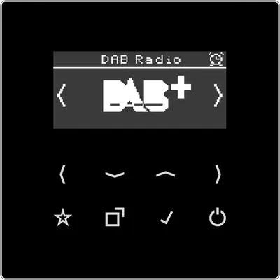 JUNG smart radio DAB+ zonder luidspreker LS990 zwart glans (DAB LS SW)
