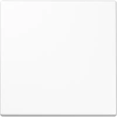 JUNG Bluetooth Low Energy radiografische wandzender 2-kanaals LS990 alpine wit (BLE LS 990 WW)
