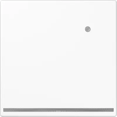 JUNG LED-orientatieverlichting met geïntegreerde lichtsensor LS990 alpine wit (LS 1539-O WW LNW)