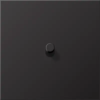 JUNG schakelwip cilinder LS1912 dark gelakt aluminium (AL 12-0 D R 01)