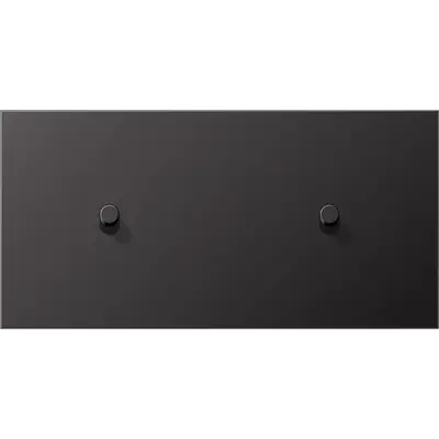 JUNG schakelwip cilinder voor 2 x enkele schakelaar horizontaal LS1912 dark gelakt aluminium (AL 12-200 D R 01)