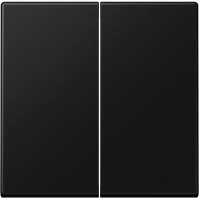 JUNG bedieningselement 2-voudig voor KNX taster F10 A-range grafietzwart mat (A 102 BF SWM)