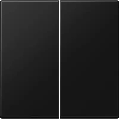 JUNG bedieningselement 2-voudig voor KNX taster F10 LS990 grafietzwart mat (LS 102 SWM)