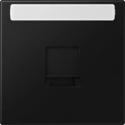 JUNG centraalplaat met tekstvenster en draagring 1-voudig voor modulair jack LS990 grafietzwart mat (LS 1969-15 NA WE SWM)