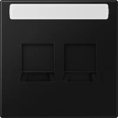 JUNG centraalplaat 2-voudig modular-jack tekstvenster LS990 grafietzwart mat (LS 1969-2 NA WE SWM)