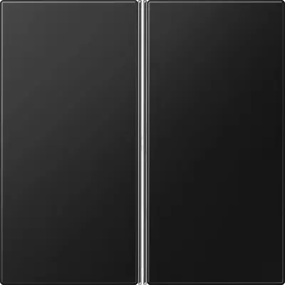 JUNG knx/enet tastafd. f40 ls 2-v.. (LS 402 TSA SWM)