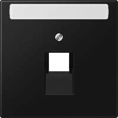 JUNG centraalplaat 1-voudig met tekstvenster tbv RJ45 wandcontactdoos LS990 grafietzwart mat (LS 969-1 NAUA SWM)