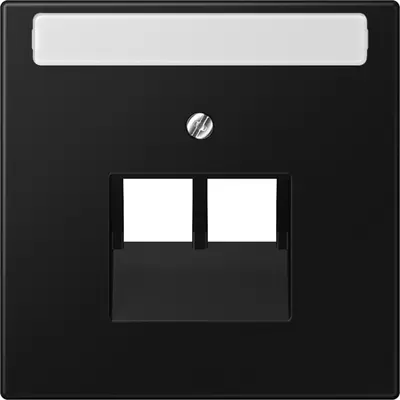 JUNG centraalplaat 2-voudig met tekstvenster tbv RJ45 wandcontactdoos LS990 grafietzwart mat (LS 969-2 NAUA SWM)