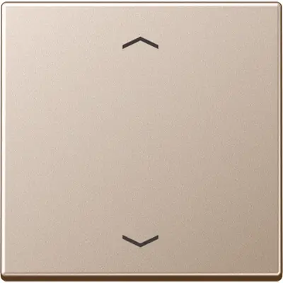 JUNG bedieningselement 1-voudig met pijlsymbolen voor KNX taster F10 A-range champagne (A 101 P CH)