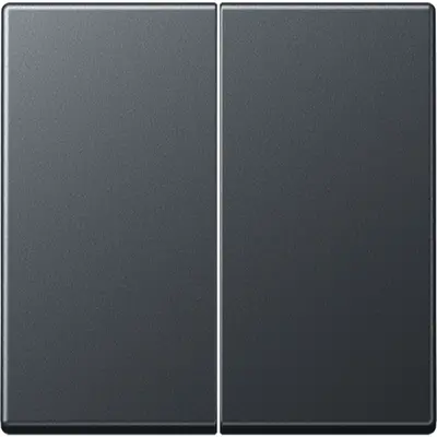 JUNG bedieningselement 2-voudig voor KNX taster F10 A-range antraciet mat (A 102 BF ANM)