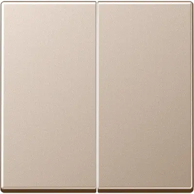 JUNG bedieningselement 2-voudig voor KNX taster F10 A-range champagne (A 102 CH)