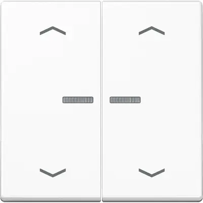 JUNG schakelwip 2-voudig met controlevenster en pijlsymbolen voor HOME draadloze schakelaar A-range alpine wit (A 102 KO5P BF WW)