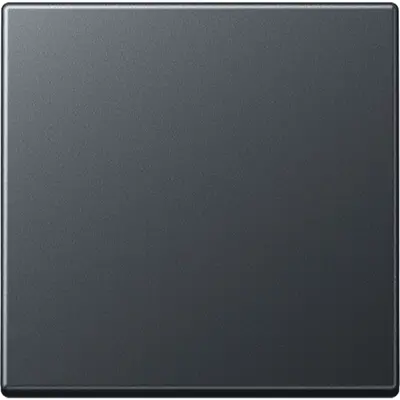 JUNG bedieningselement 1-voudig voor KNX taster F10 A-range antraciet mat (A 101 BF ANM)