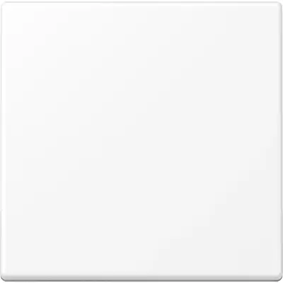 JUNG bedieningselement 1-voudig voor KNX taster F10 A-range sneeuwwit mat (A 101 BF WWM)