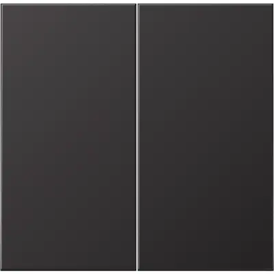 JUNG wip ls-dark knx f10 taster 2v (AL 102 D)