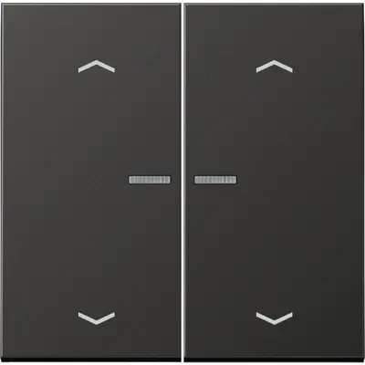 JUNG schakelwip 2-voudig met controlevenster en pijlsymbolen voor HOME draadloze schakelaar LS990 antraciet gelakt aluminium (AL 102 KO5P AN)