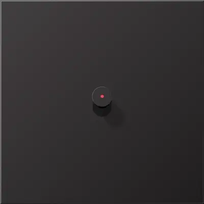 JUNG schakelwip met lens kegel LS1912 dark gelakt aluminium (AL 12-0 KO D K 01)