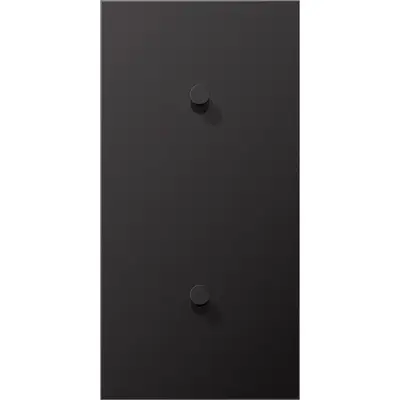 JUNG schakelwip kegel voor 2 x enkele schakelaar verticaal LS1912 dark gelakt aluminium (AL 12-20 D K 01)
