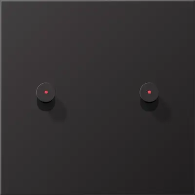 JUNG schakelwip 2-voudig met lens kegel LS1912 dark gelakt aluminium (AL 12-5 KO D K 01)