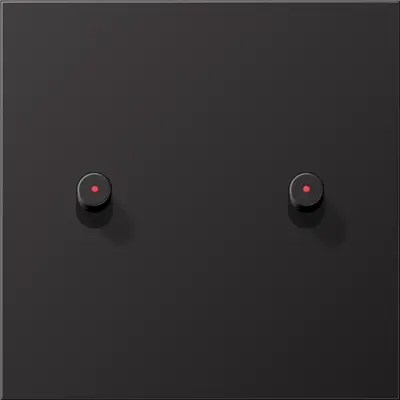JUNG schakelwip 2-voudig met lens cilinder LS1912 dark gelakt aluminium (AL 12-5 KO D R 01)