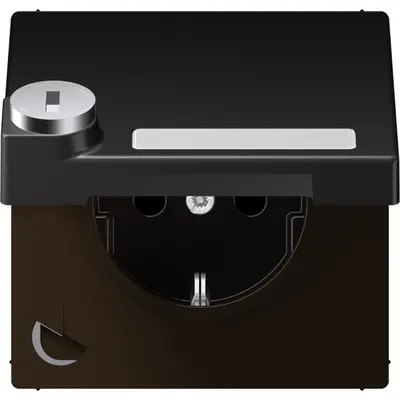 JUNG wandcontactdoos randaarde Safety+ klapdeksel tekstvenster slot LS990 dark gelakt aluminium (AL 1520 NNAKLSL D)