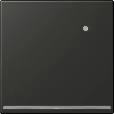 JUNG LED-orientatieverlichting met geïntegreerde lichtsensor LS990 antraciet gelakt aluminium (AL 1539-O AN LNW)