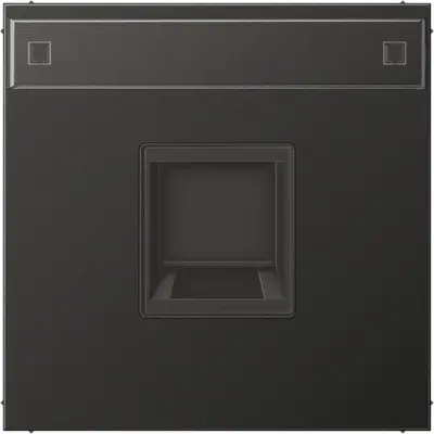 JUNG centraalplaat met tekstvenster en draagring 1-voudig voor modulair jack LS990 antraciet gelakt aluminium (AL 1969-15 NA WE AN)