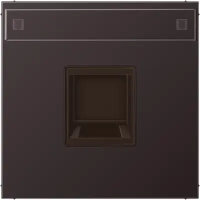 JUNG centraalplaat met tekstvenster en draagring 1-voudig voor modulair jack LS990 dark gelakt aluminium (AL 1969-15 NA WE D)
