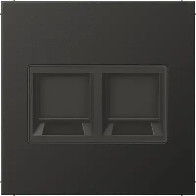 JUNG centraalplaat met draagring 2-voudig voor modulair jack LS990 antraciet gelakt aluminium (AL 1969-25 WE AN)
