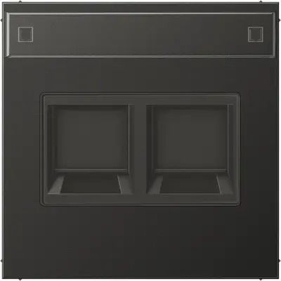 JUNG centraalplaat 2-voudig modular-jack tekstvenster LS990 antraciet gelakt aluminium (AL 1969-2 NA WE AN)