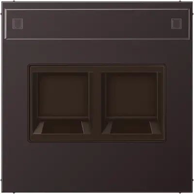JUNG centraalplaat 2-voudig modular-jack tekstvenster LS990 dark gelakt aluminium (AL 1969-2 NA WE D)