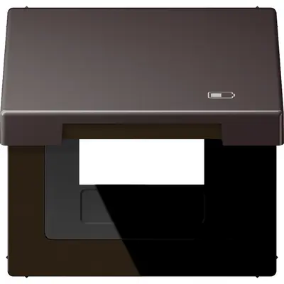 JUNG klapdeksel met USB-ladersymbool LS990 dark gelakt aluminium (AL 2990 KL USB D)