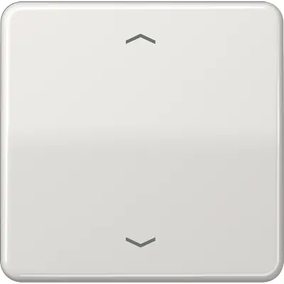 JUNG wip cd500 lg pijl knx f10 tas (CD 101 P LG)